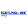logo Federal Mogul Bimet S.A.
